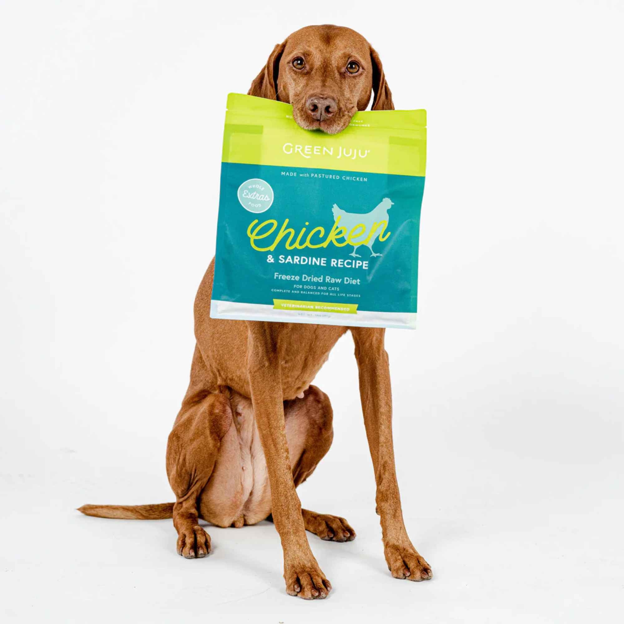 Dog holding a bag of Green juju Chicken & Sardine Recipe pet food on a white background