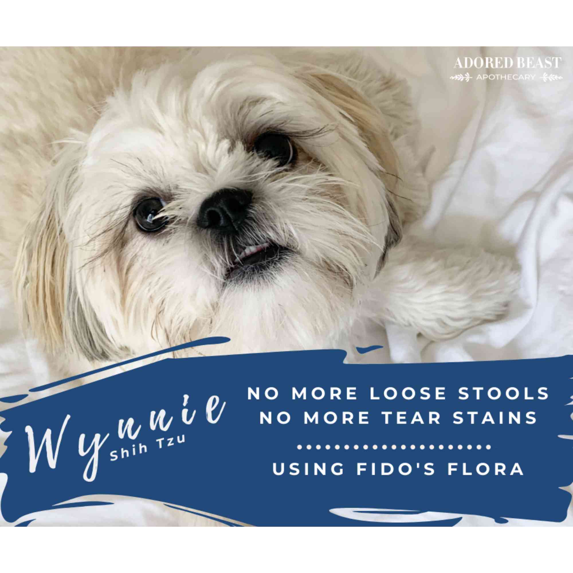 Fidos Flora Dog Probiotic No more loose stool Adored Beast