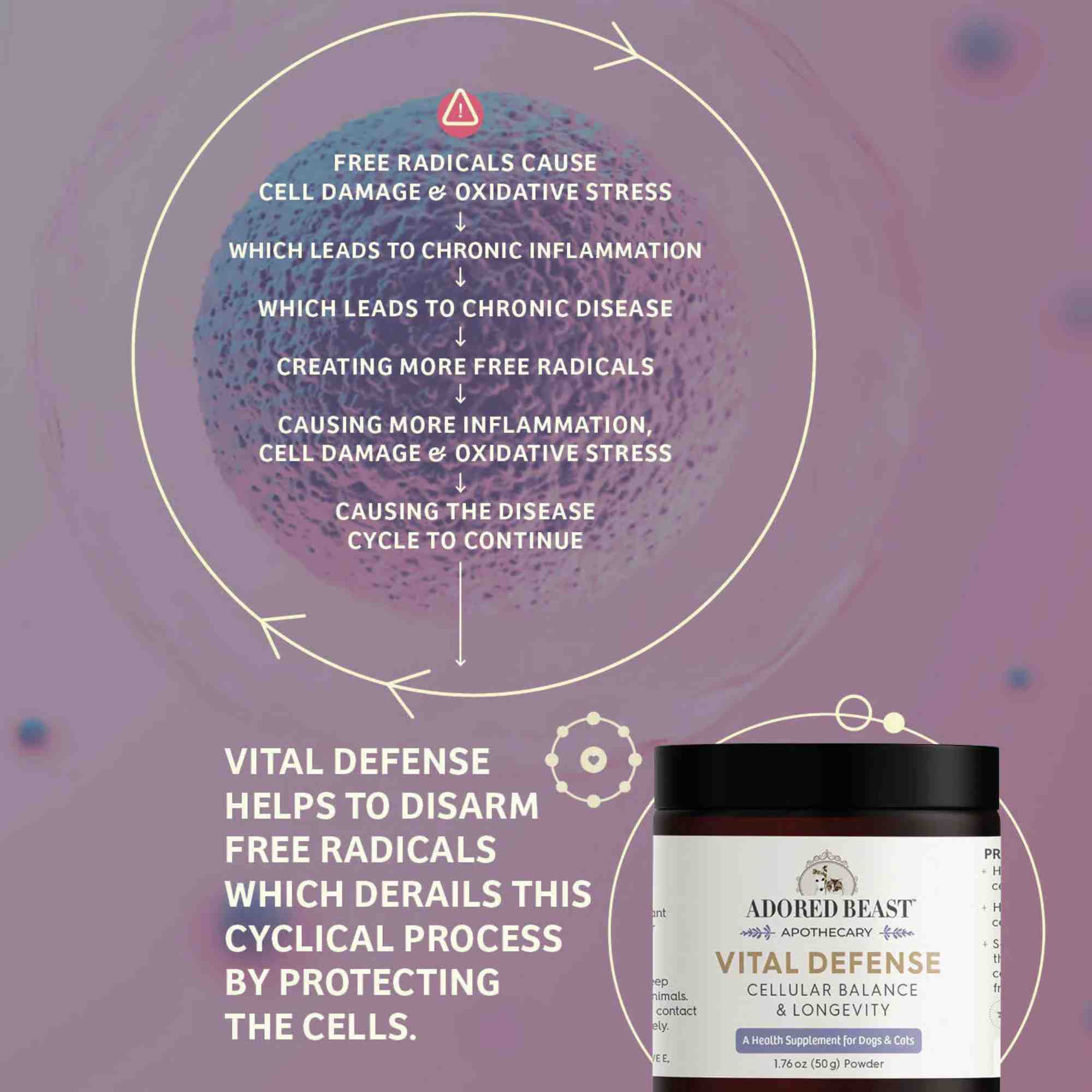 Free Radicals Inforgraph by Adored Beast