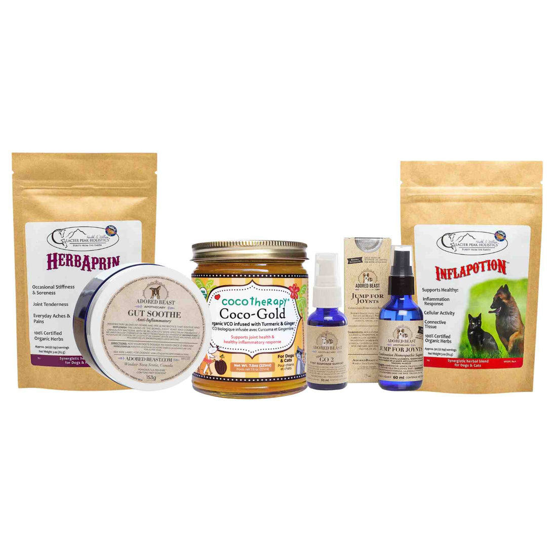 IVDD Support Bundle