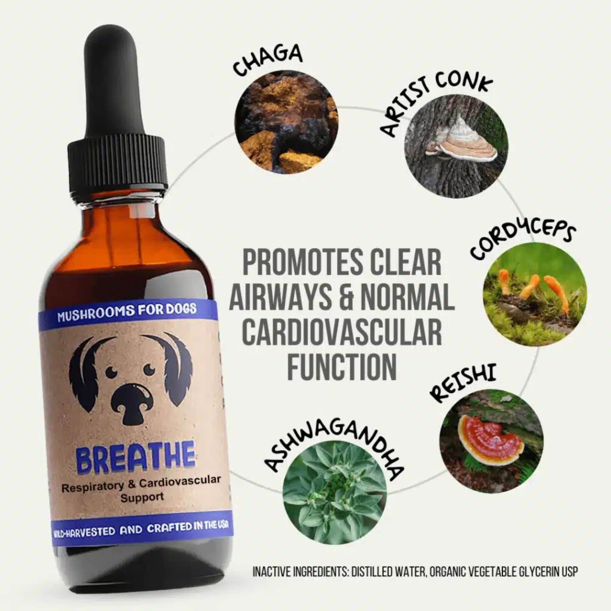 MycoDog Breathe Mushrooms Ingredients Promotes Clear Aiways & Normal Cardiovascular Function