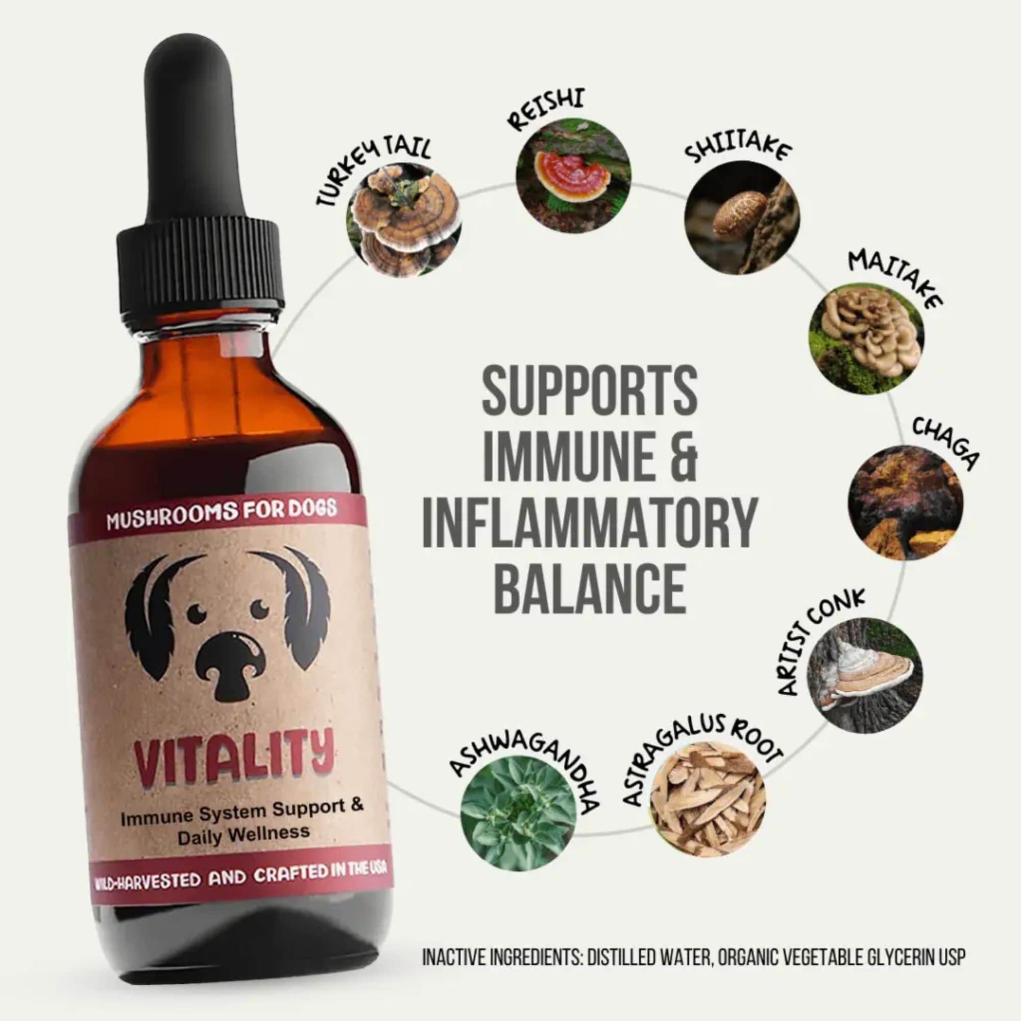 MycoDog Vitality Mushrooms Ingredients Support Immune & Inflammatory Balance