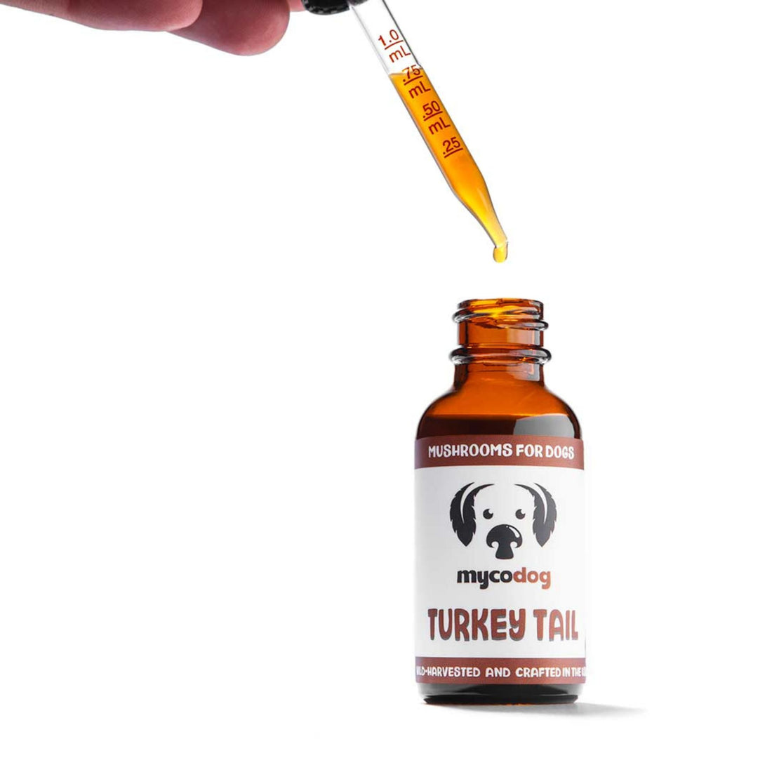 Turkey Tail Mushrooms | Liquid Dual Extract