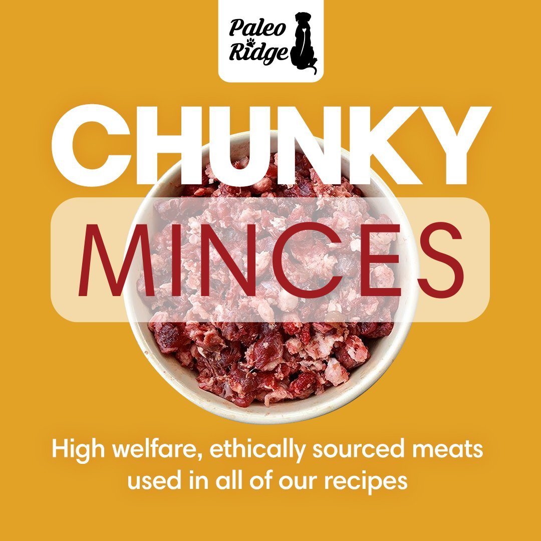 PALEO RIDGE: BEST RAW DOG FOOD IN THE UK