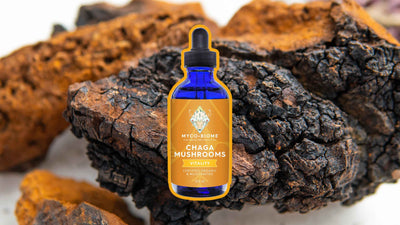 HERE IS WHY YOU SHOULD BE FEEDING CHAGA MUSHROOMS TO YOUR PET