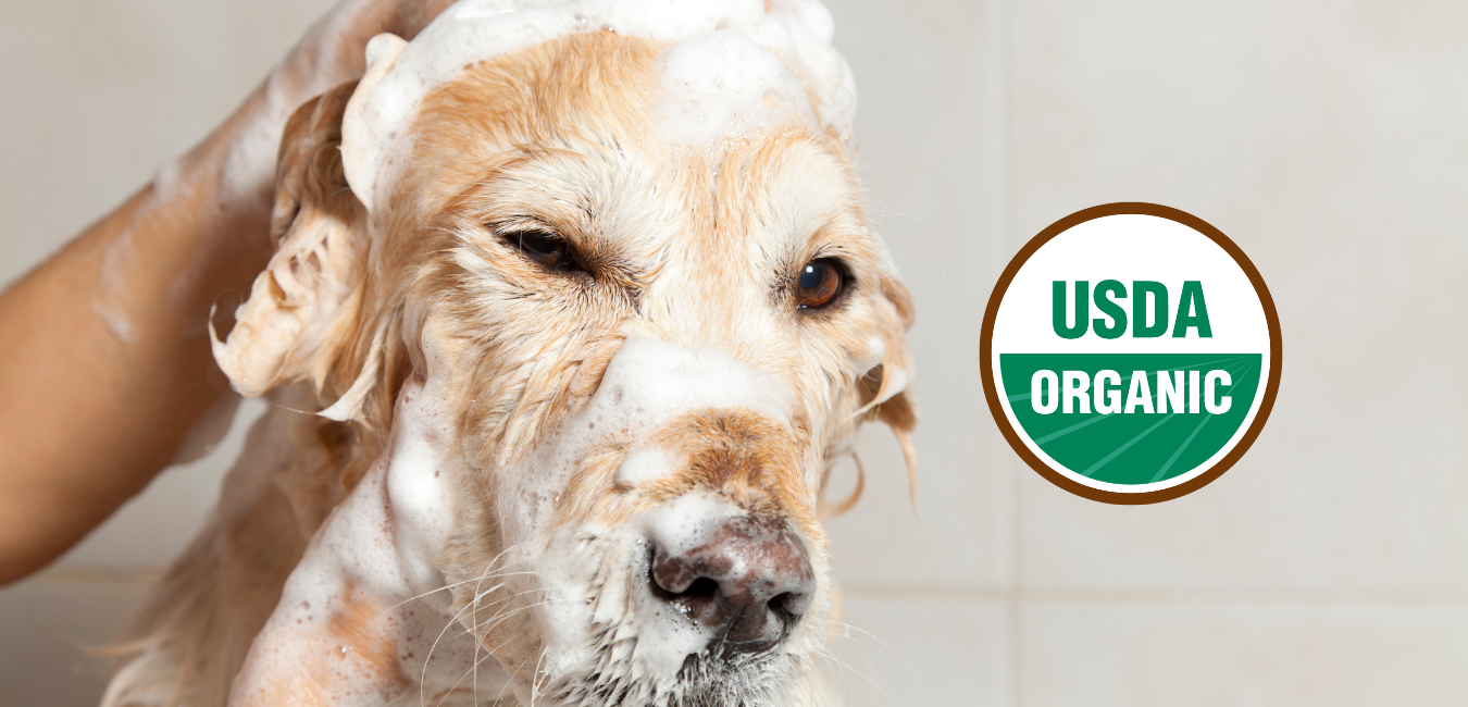 BE AWARE OF THIS 'ORGANIC' PET SHAMPOO SCAM!