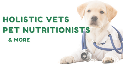 11 Holistic Veterinarians, Pet Nutritionists, Animal Homeopaths, and Pet Health Professionals who will provide online consultations