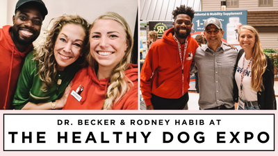 Enhance Your Dogs Longevity with Takeaways from Dr. Becker & Rodney Habib at the Healthy Dog Expo