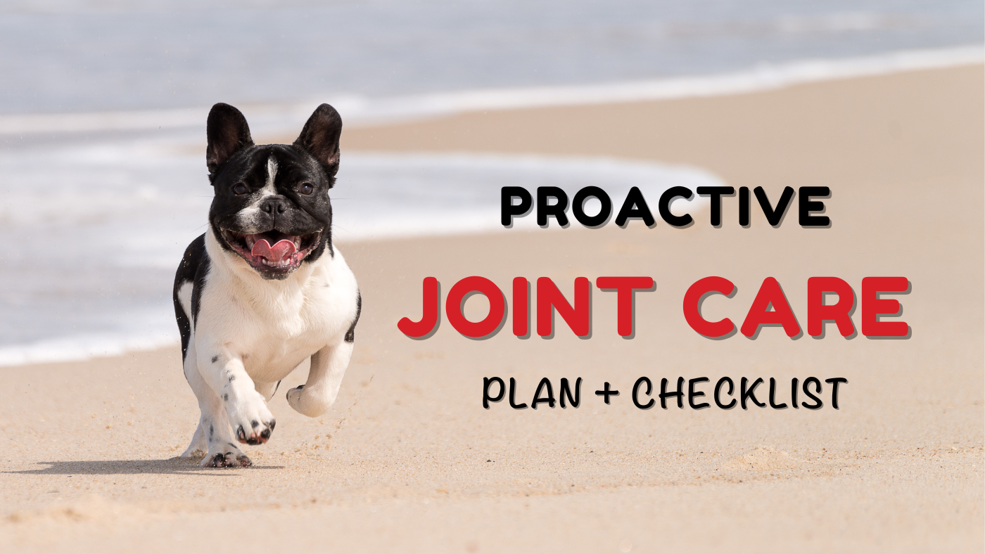 The Ultimate Guide to Support your Dogs &amp; Cats Joint Health