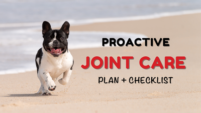 The Ultimate Guide to Support your Dog's and Cat's Joint Health