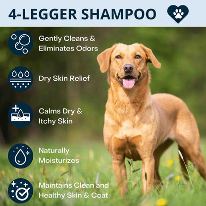 4-legger usda certified organic dog shampoo 16 oz bottle calm organic lavender dog shampoo with calendula and st john&