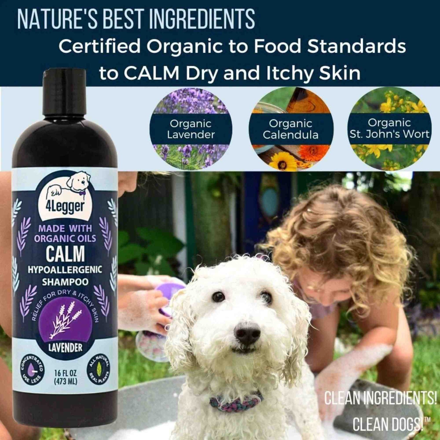 4-legger usda certified organic dog shampoo 16 oz bottle calm organic lavender dog shampoo with calendula and st john&