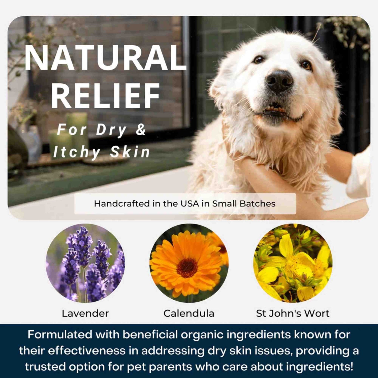 4-legger usda certified organic dog shampoo 16 oz bottle calm organic lavender dog shampoo with calendula and st john&