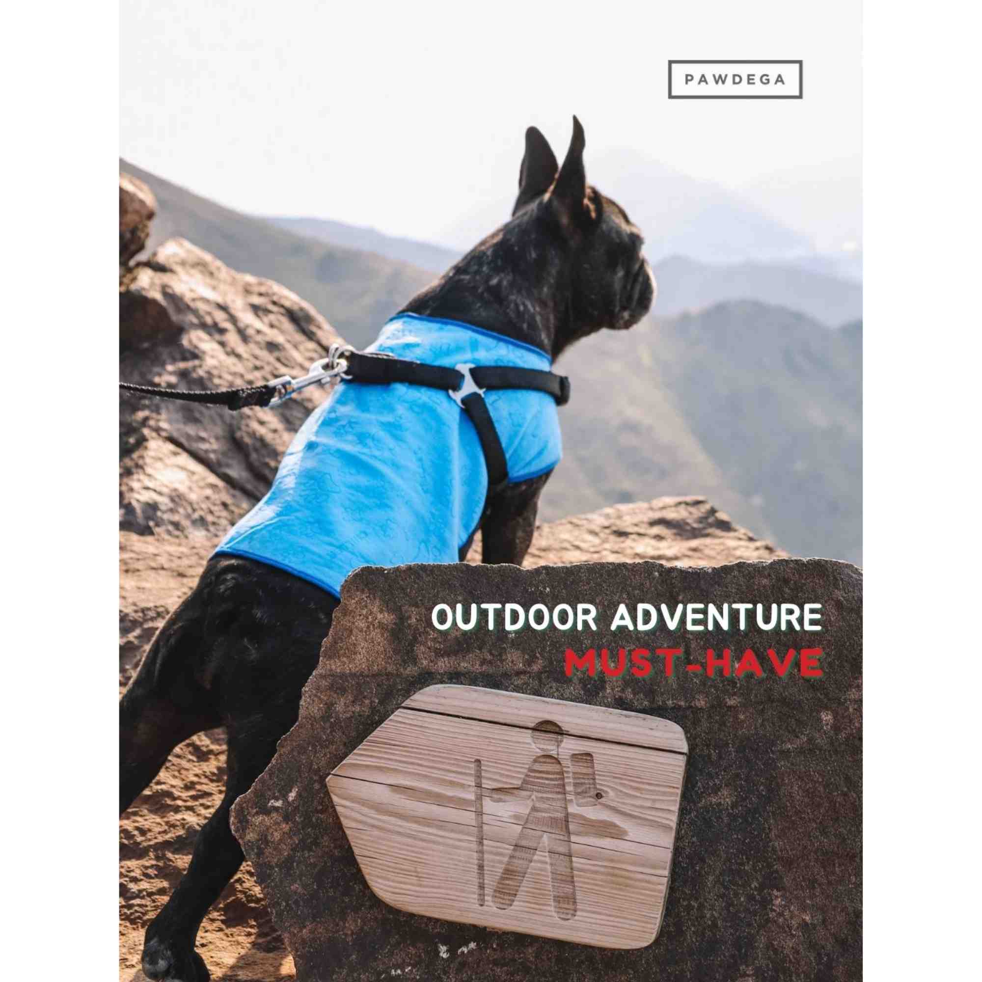 Aquamat Cooling Vest in Blue Outdoor Adventure Must have