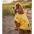 Aquamat Cooling Vest for Dogs in Yellow