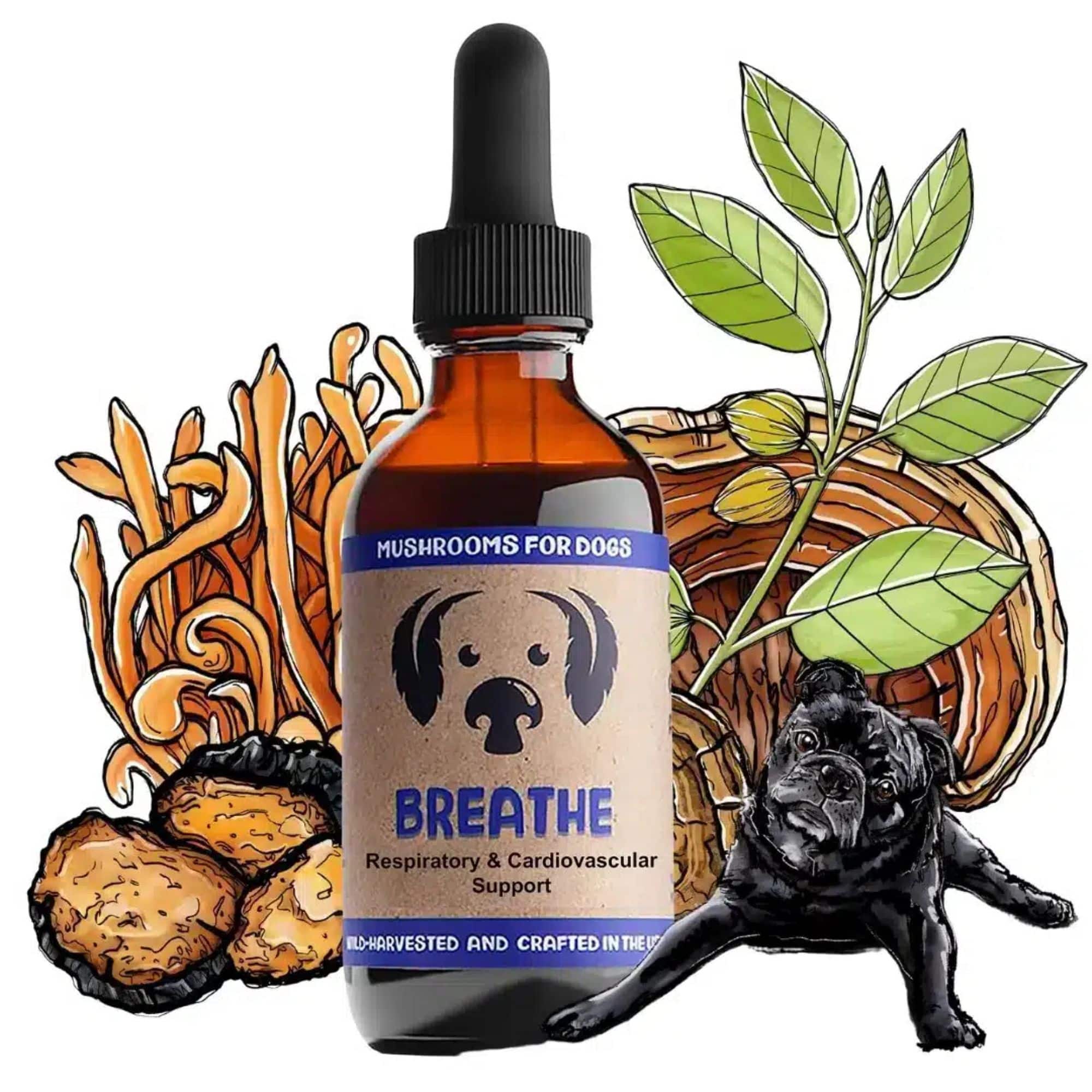 MycoDog Breathe Mushrooms for Respiratory and Cardiovascular Support Bottle