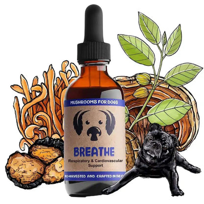 MycoDog Breathe Mushrooms for Respiratory and Cardiovascular Support Bottle