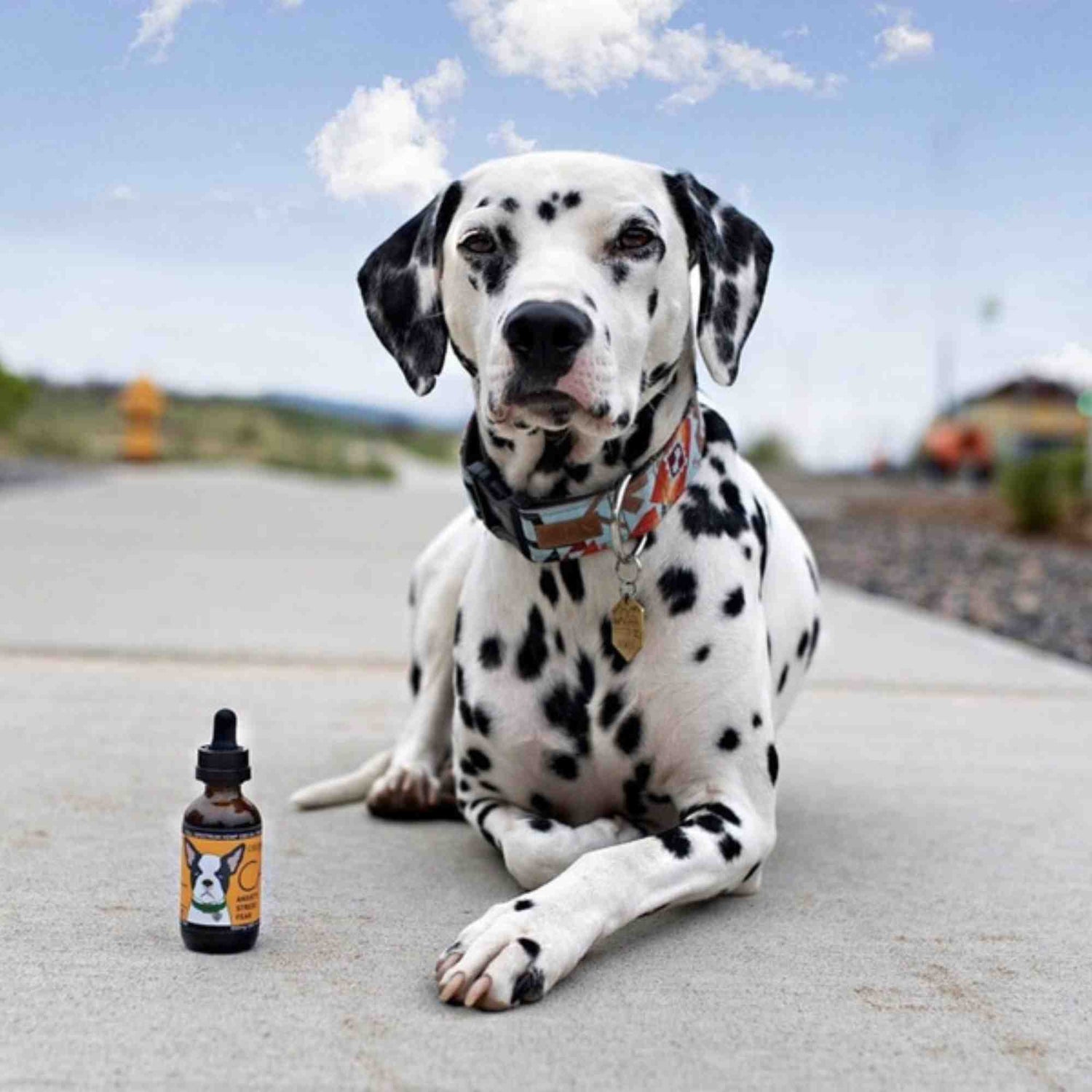 CALM - Full-Spectrum Hemp Oil for Dogs