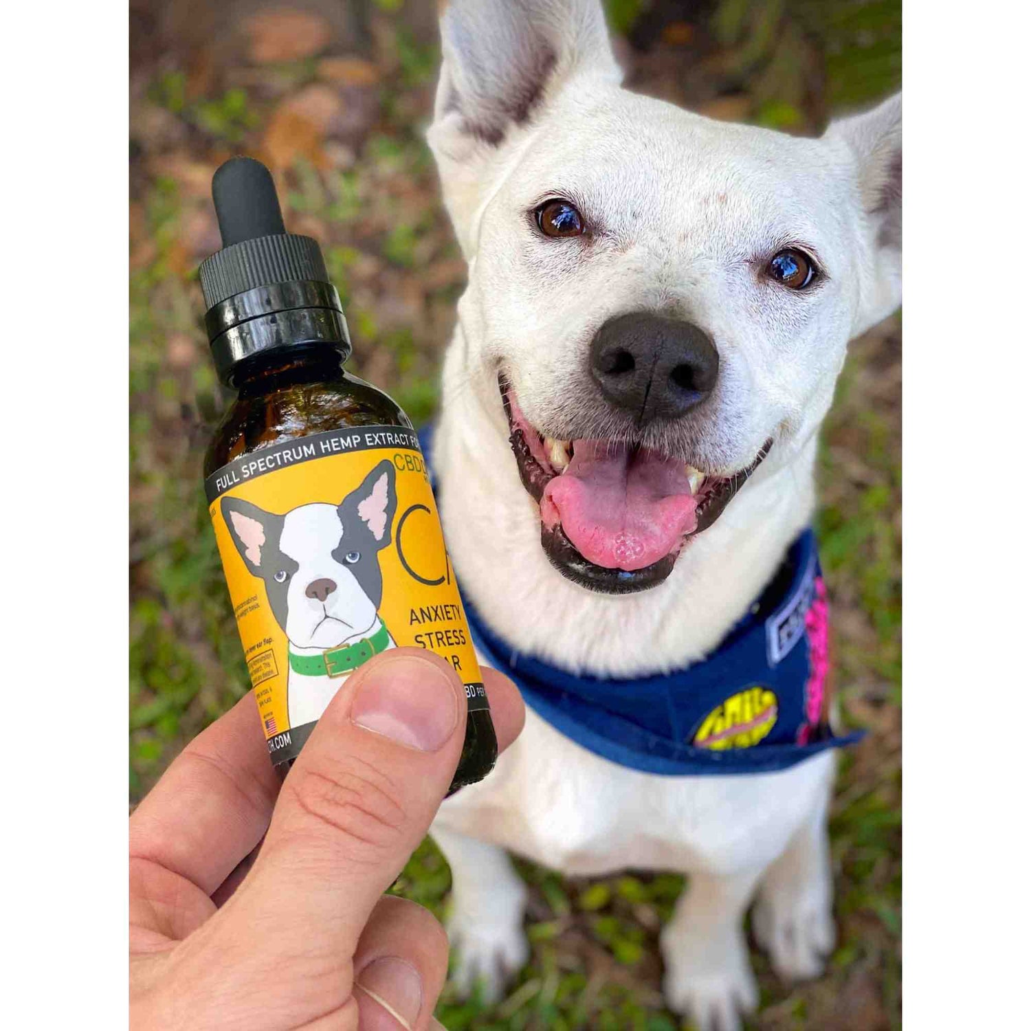 CALM - Full-Spectrum Hemp Oil for Dogs