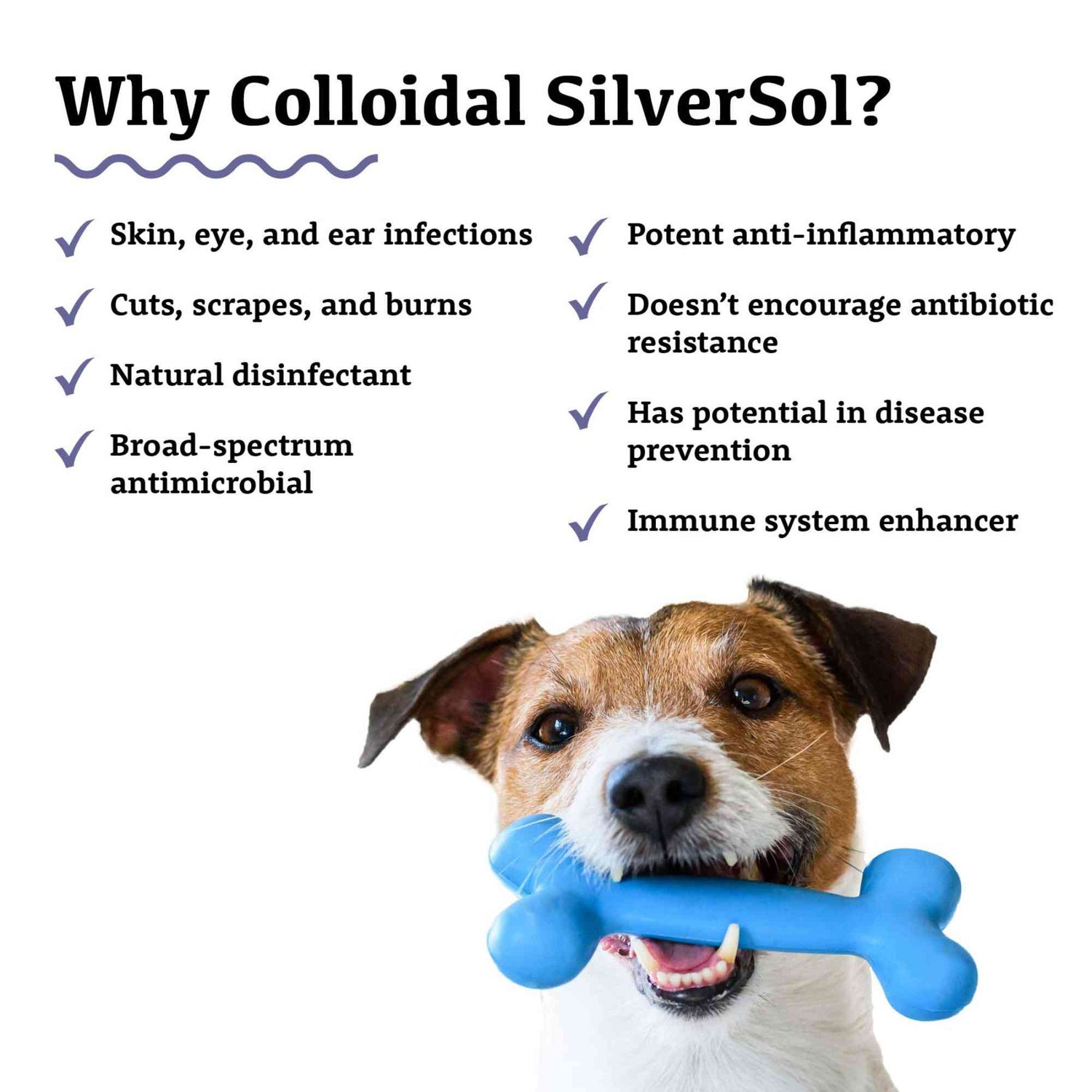 Colloidal Silversol Adored Beast Natural Disinfectant Anti-Inflammatory