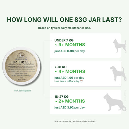 Healthy Gut - Digestive Enzyme / Pre &amp; Probiotic