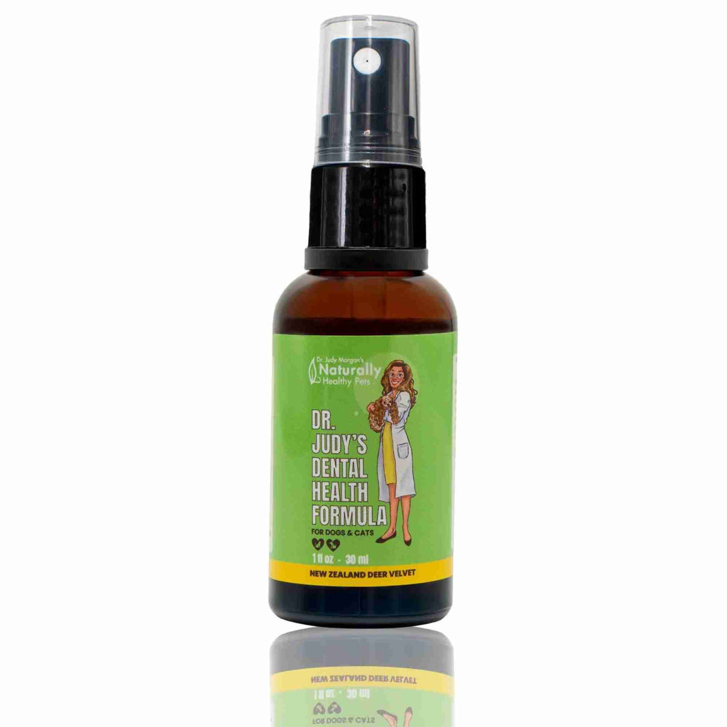 Dr Judy Morgan's Dental Health Formula spray - front - for dogs and cats new zealand deer velvet