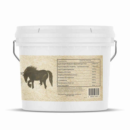 Equine Gut Soothe Anti-Inflammatory Herbs for Horses Adored Beast Ingredient List