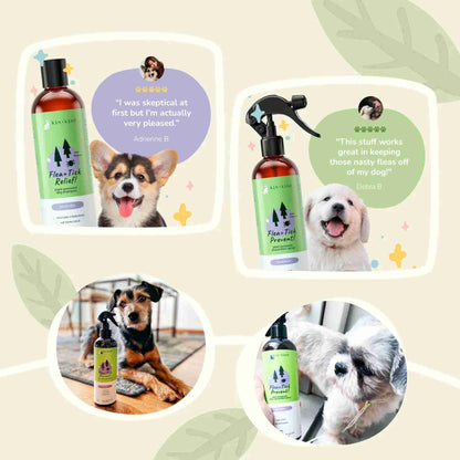 Flea Tick Relief - Lavender Dog Shampoo USDA Bio-Based Eliminate infestations Vet Formulated by kin and Kind social proof