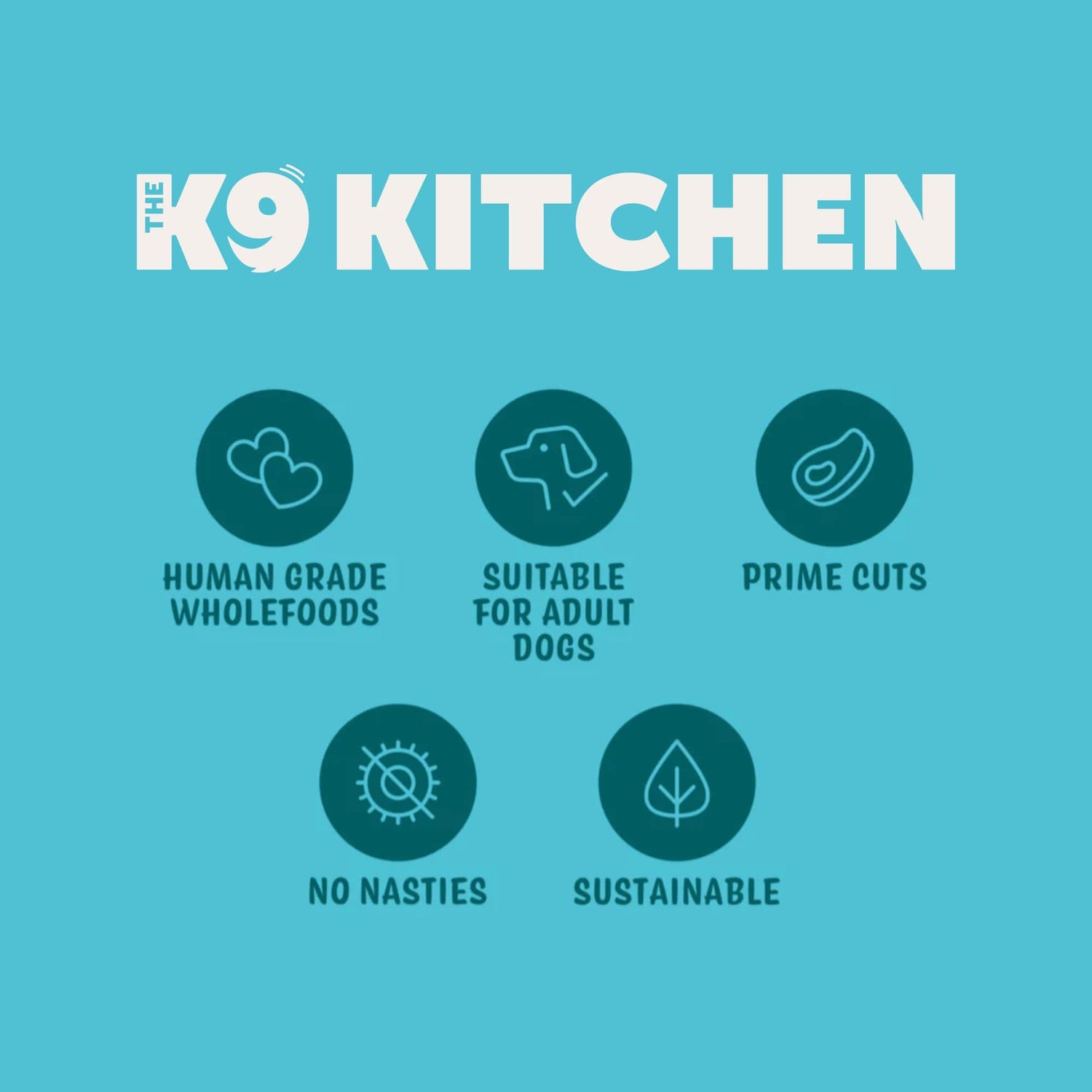 Benefits of Raw Dog Food by K9 Kitchen UAE