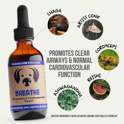 MycoDog Breathe Mushrooms Ingredients Promotes Clear Aiways &amp; Normal Cardiovascular Function