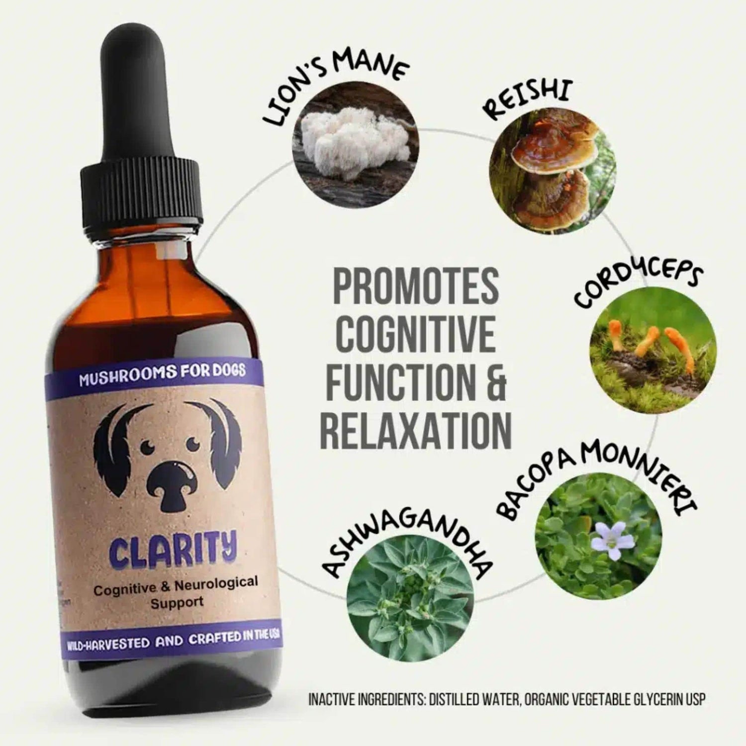 MycoDog Clarity Mushrooms Ingredients Promotes Cognitive Function &amp; Relaxation