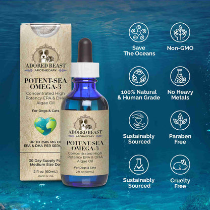 Potent Sea Omega 3 Algae Oil 60ml Adored Beast EPA DHA Information Sheet