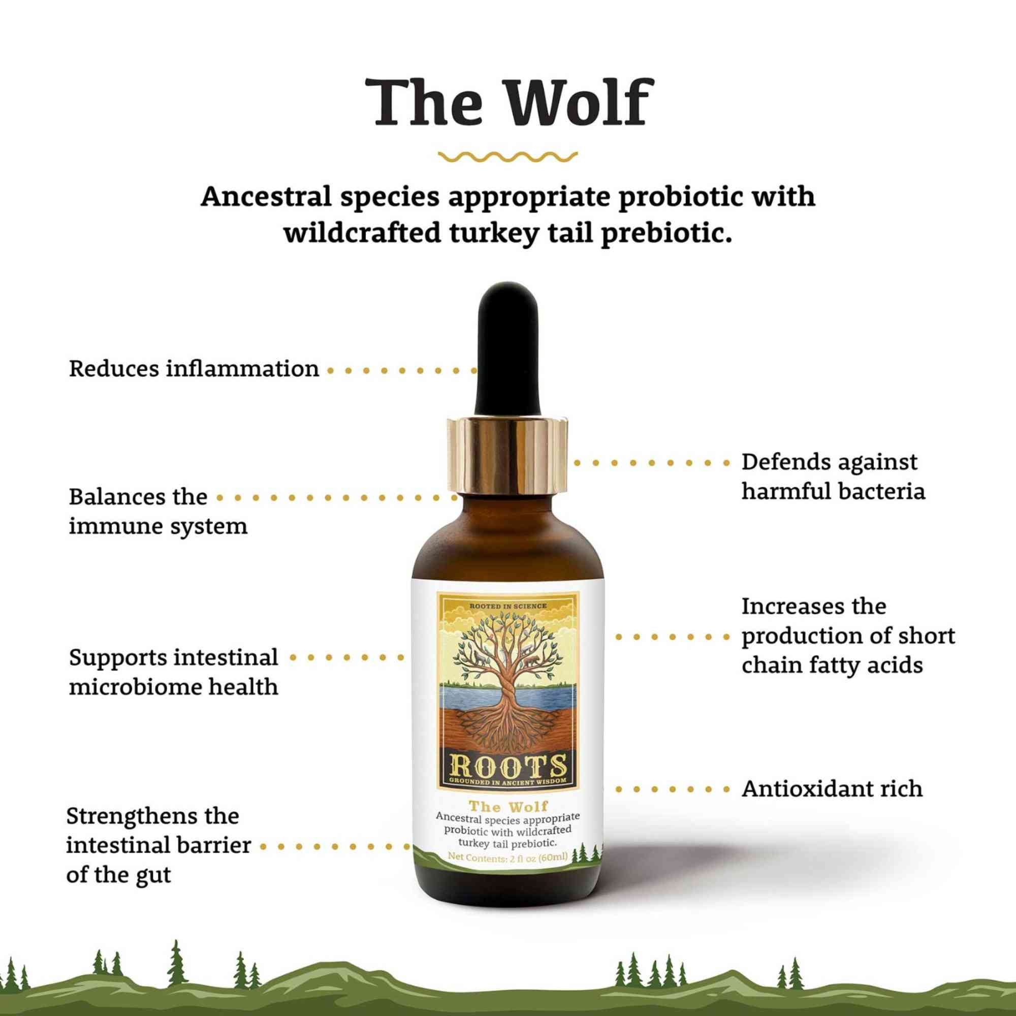 The Wolf Probiotic Health Benefits for Dogs Adored Beast Roots