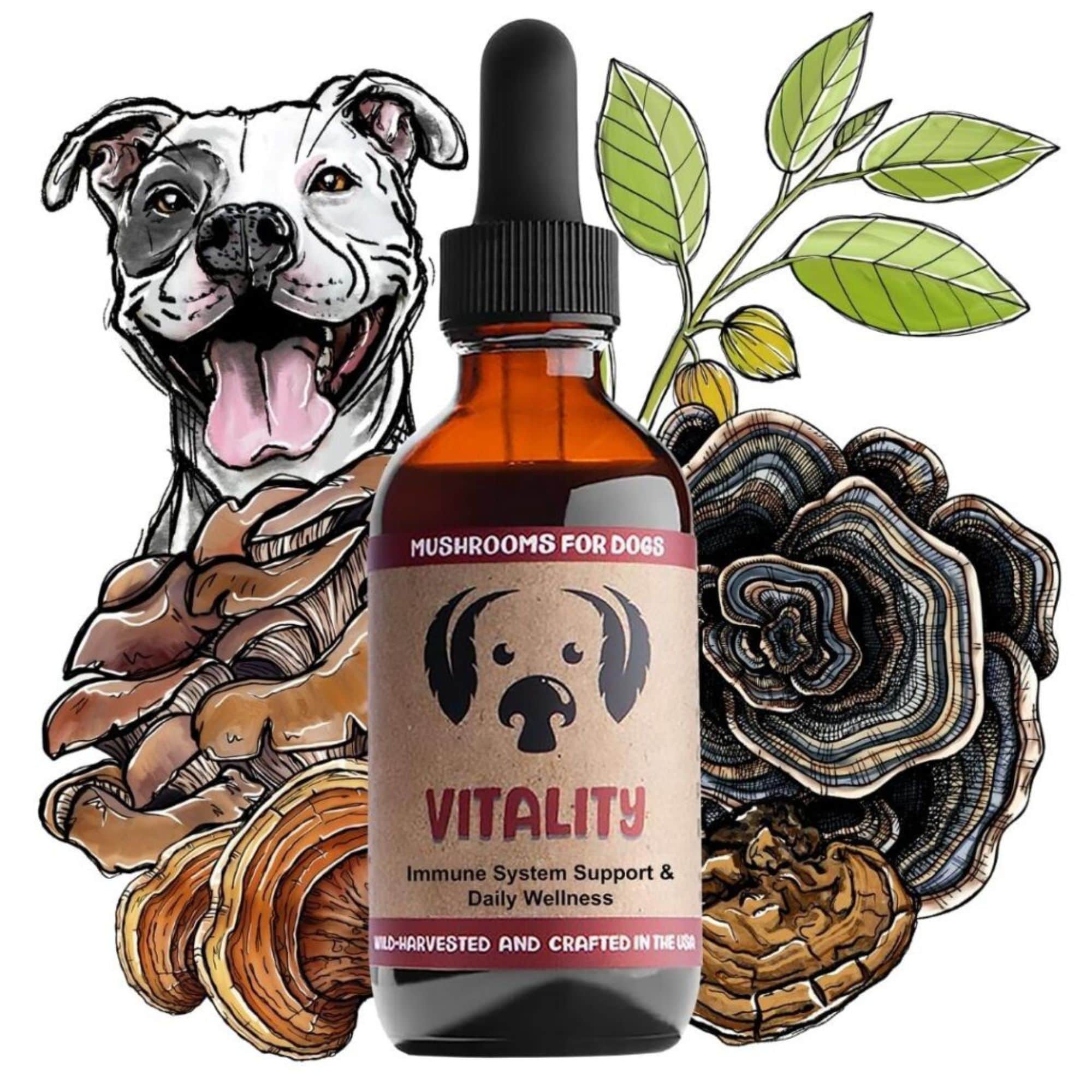 MycoDog Vitality Mushrooms for Immune system Support &amp; Daily Wellness Bottle