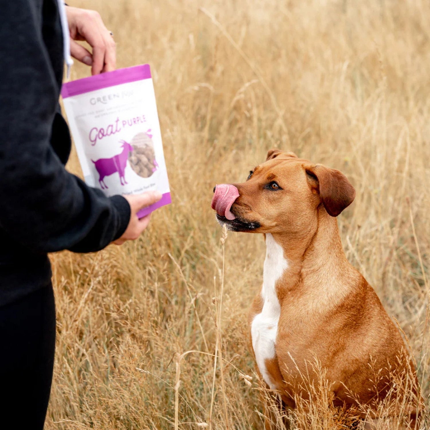 Goat Purple - Whole Food Bites