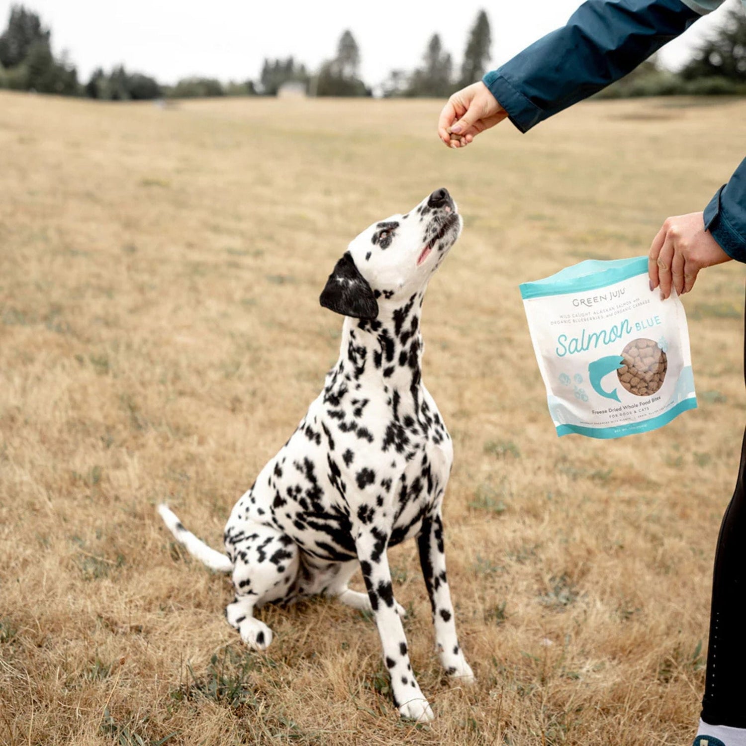 Salmon Blue - Whole Food Bites