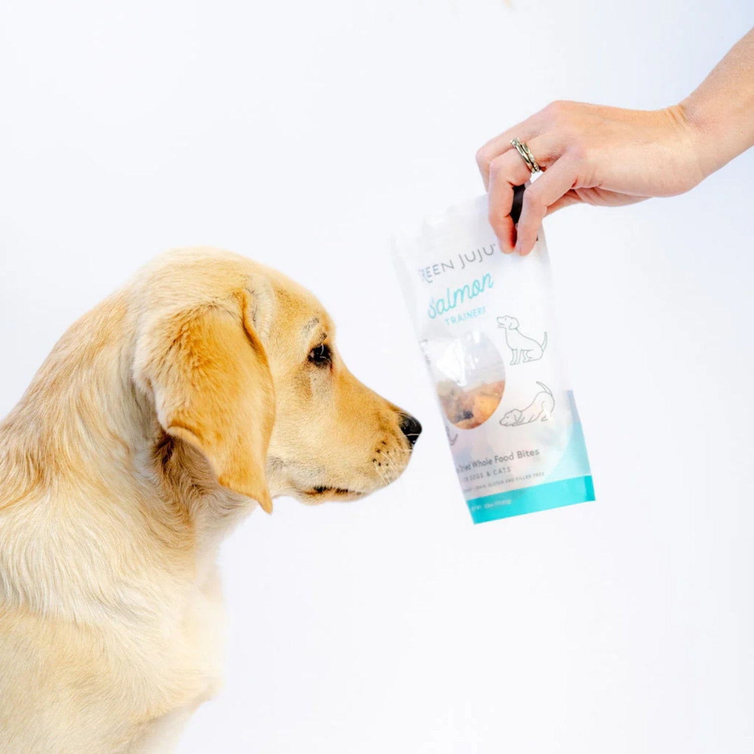 Salmon Trainers - Whole Food Bites