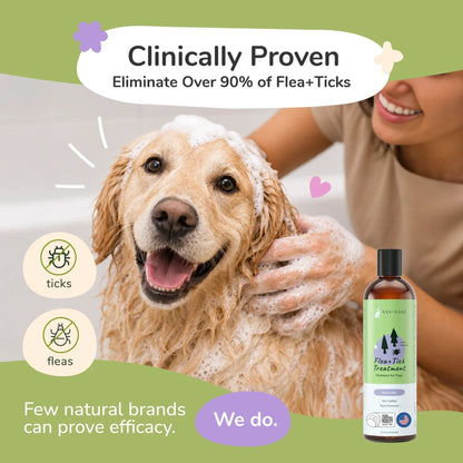 Dog being bathed with a bottle of  kin+kind flea and tick shampoo on a green background