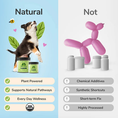 Comparison between kin+kind Skin + Coat and non-natural product options with a dog and pet products on a blue and gray background.