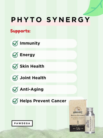 Phyto Synergy - 100% Pure Marine Phytoplankton