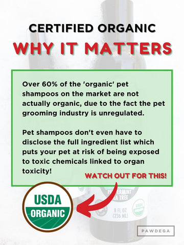 Cooling - USDA Cert. Organic Peppermint Tea Tree Oil Shampoo