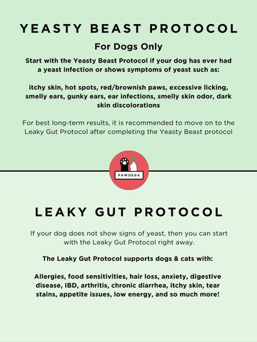 Leaky Gut Protocol - 5 Product Repair Kit