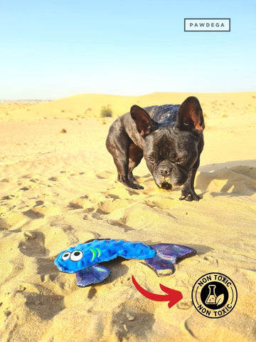 WO Wild Fish Dog Toy