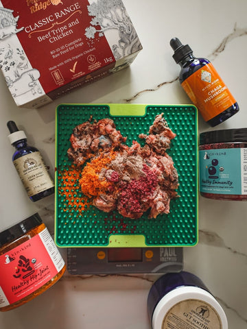 Gut Soothe - Pre & Probiotics / Herbs