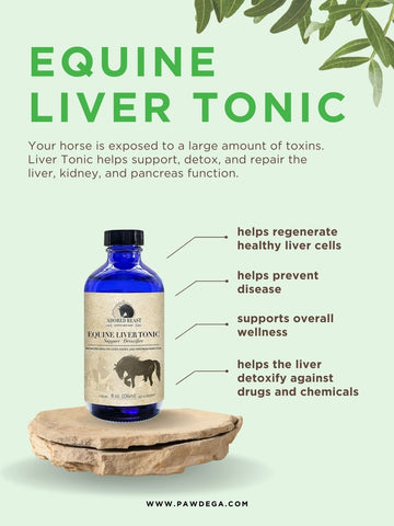Equine Liver Tonic