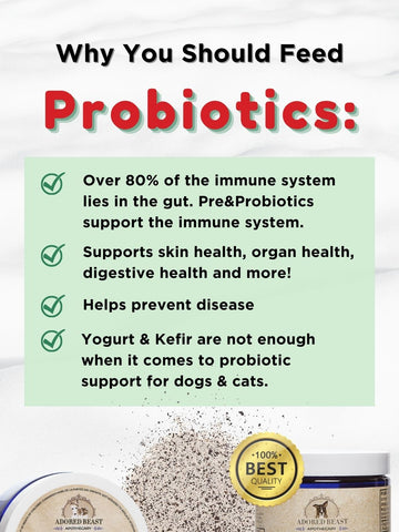 Feline Gut Soothe - Pre & Probiotics / Herbs