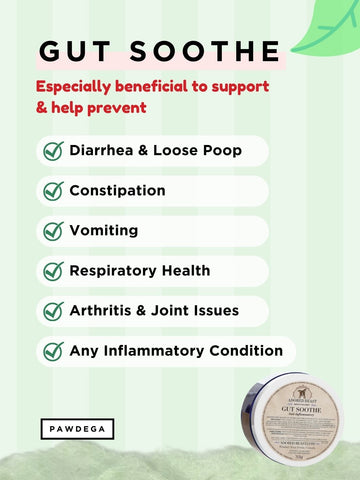 Gut Soothe - Pre & Probiotics / Herbs