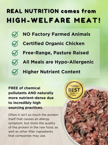 Classic Wild Venison & Duck (500g)