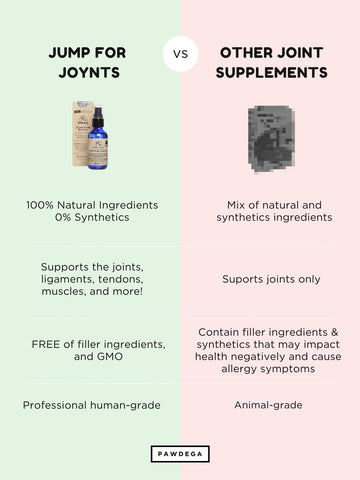 Jump for JOYnts - Joint Support