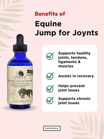 Equine Jump for JOYnts